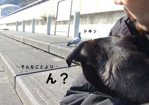 f51aaebf.jpeg