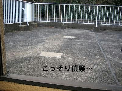 f901fcdb.jpeg