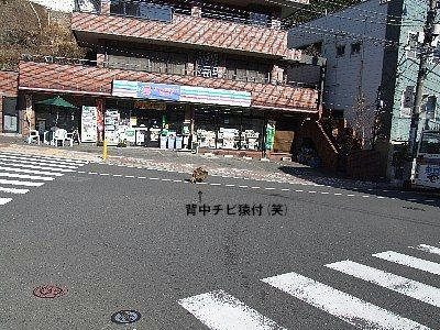 2-1.jpg