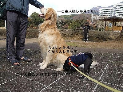 3-2.jpg