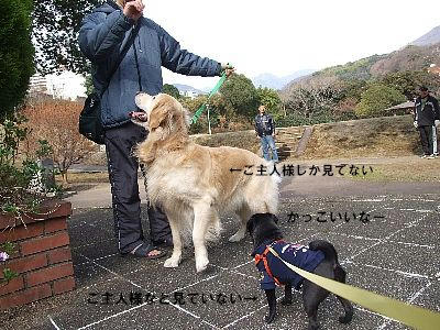 c9109064.jpeg