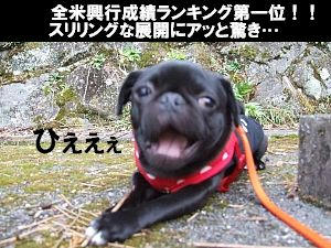 a6285f36.jpeg
