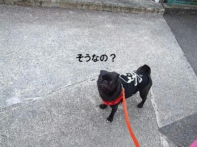 c840262f.jpeg
