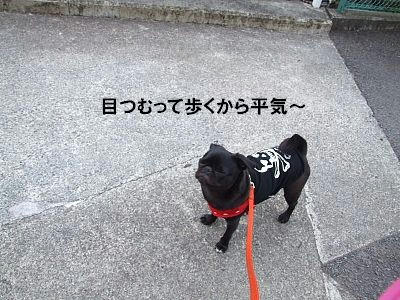 5a734b01.jpg