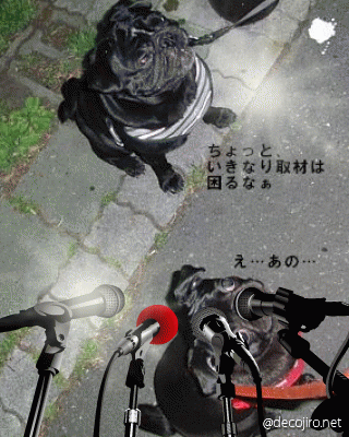 7b7dbb8d.gif