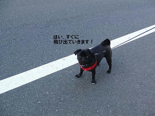 9836ef13.jpeg