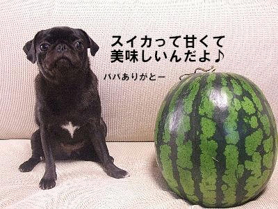 25b3505b.jpeg
