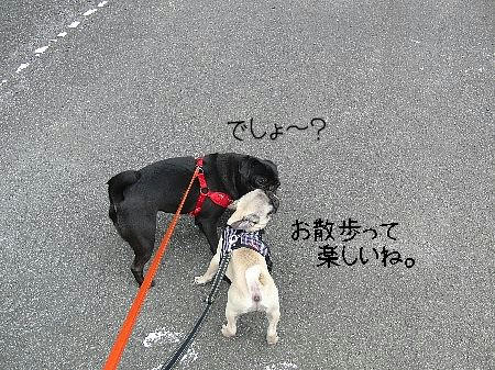 642d54f1.jpeg