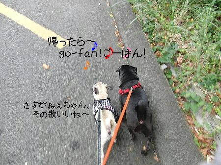 4876a323.jpeg