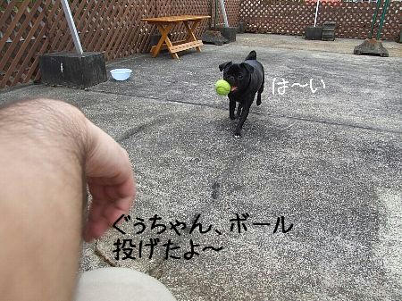 67775e45.jpeg