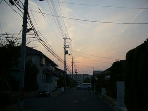 ee840226.jpg