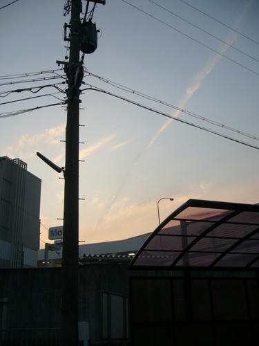 P1100210.jpg