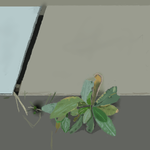 h107.png