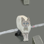 h137.png