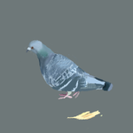 h162.png