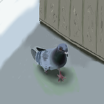 h192.png