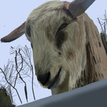 h220.png