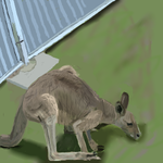 h225.png