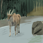 h243.png