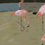 h244.png