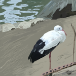 h250.png