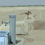 h259.png