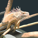h275.png