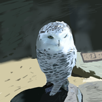 h294.png