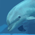 h347.png
