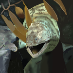 h369.png