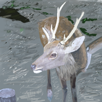 h387.png