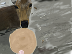 a27fcf26.png
