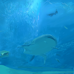 f819df66.png