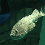 h428.png