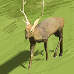 h449.png