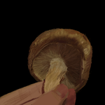 h471.png