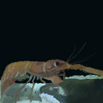 h476.png