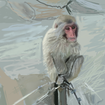 fe5b6bdc.png