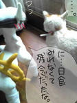 0722Image.jpg