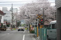 aIMG_8541.jpg