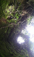 100504_1250~01.jpg