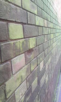 100504_1251~01.jpg