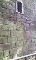 100504_1306~01.jpg