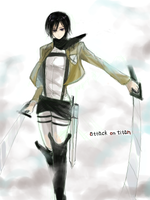 mikasa.png