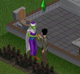 sim0267.jpg