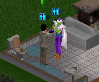 sim0295.jpg