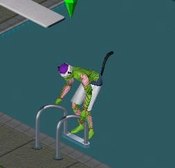 sim0028.jpg