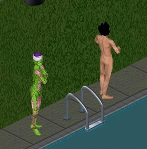 sim0109.jpg