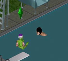 sim0110.jpg