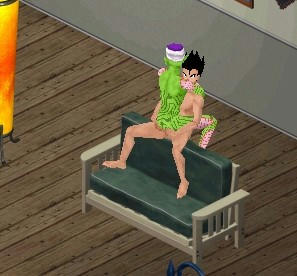 sim0114.jpg